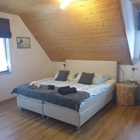 Haus Cindy Schluchsee