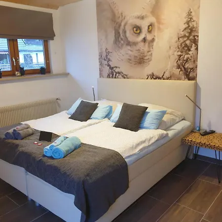 Haus Cindy Nocleg ze śniadaniem Schluchsee